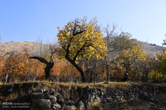 Autumn in Different Parts of Iran