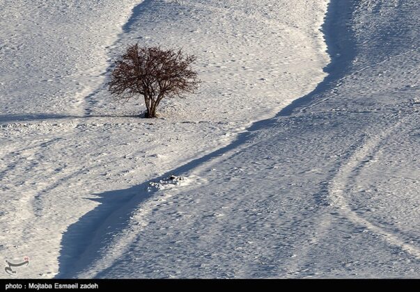 urmia-snow