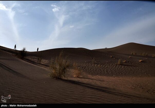 Loot Desert