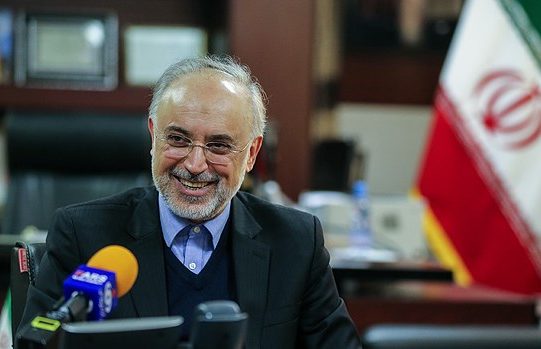 Salehi - Iran nuclear chief