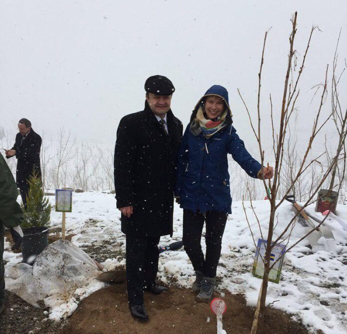 Tree planting in Tehran