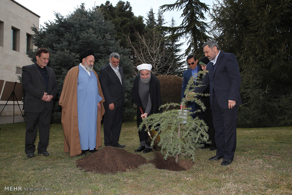 Rouhani-Plants Tree