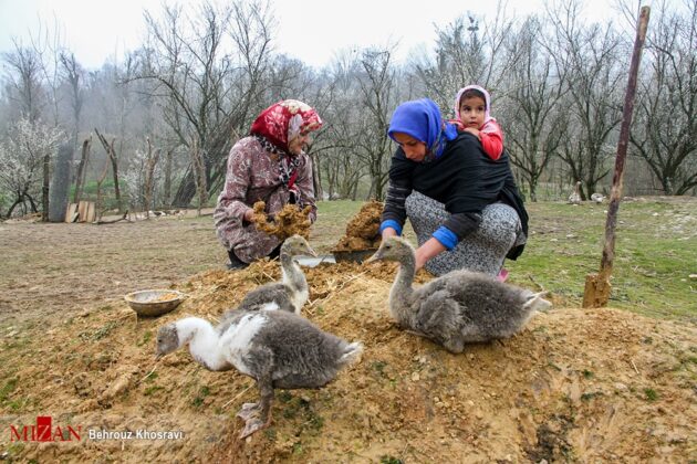 People in Northern Iran Prepare for Nowruz