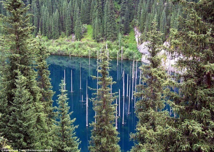 Spears of Mysterious Army Rising out of Kazakh Lake