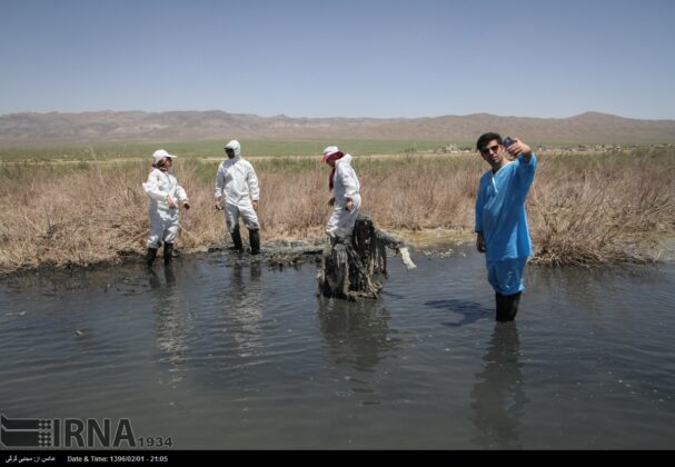 National Festival of Salt Statues in Eastern Iran