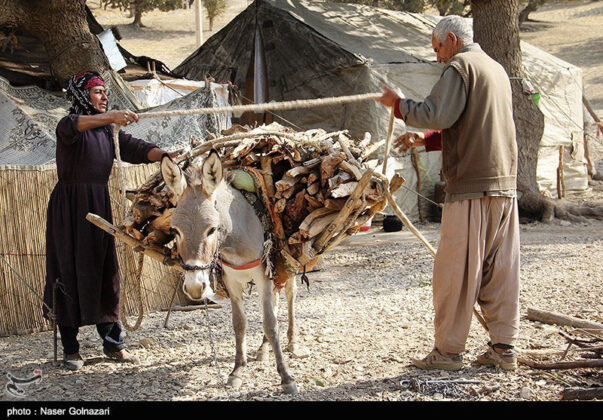 Nomadic Life in Western Iran