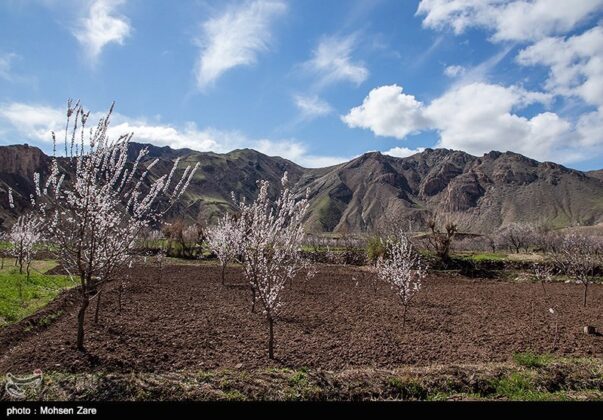 Early Days of Spring in Iran’s Ardabil(9)