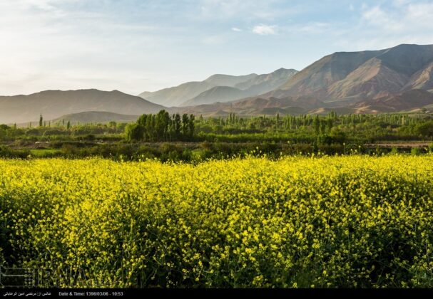 Iran’s Beauties in Photos: Spring in Neyshabur