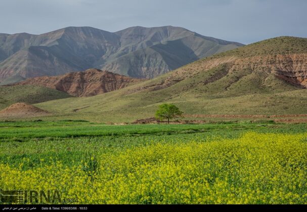 Iran’s Beauties in Photos: Spring in Neyshabur