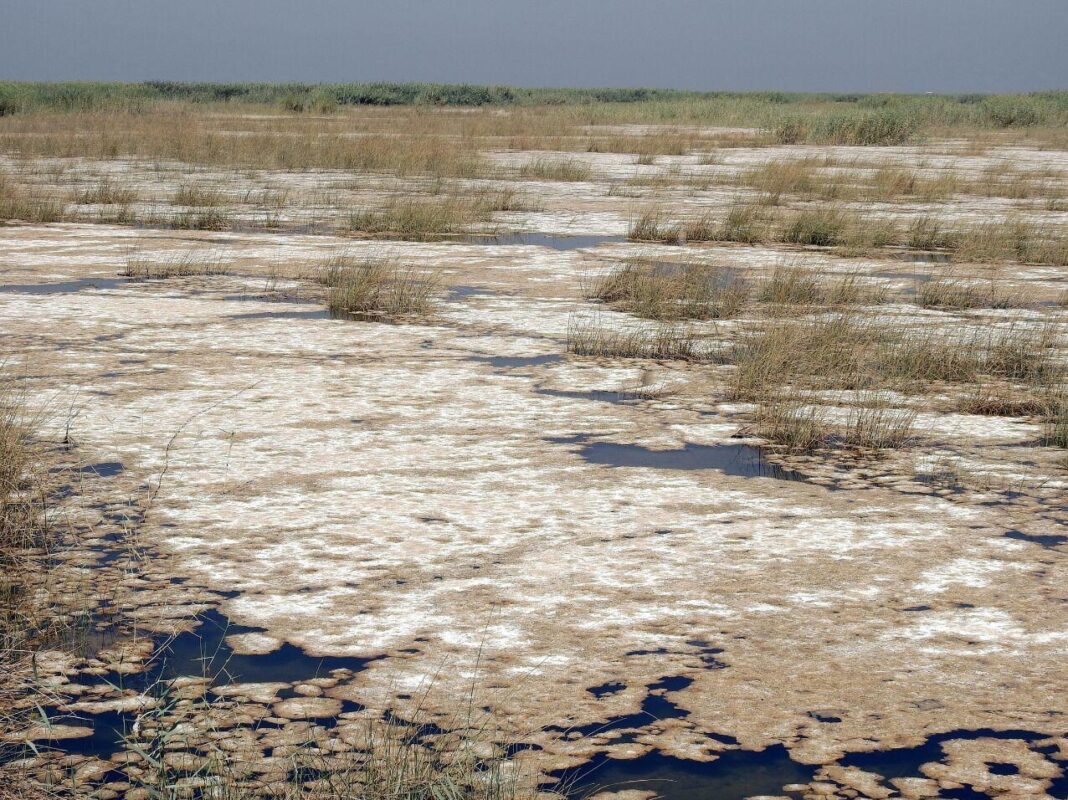 Iranians to Take Turkey to The Hague over Wetland Desiccation
