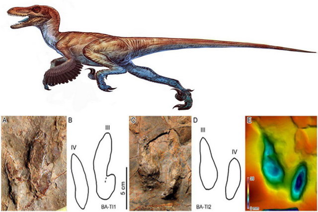 Traces of Feathered Dinosaur Found in Iran