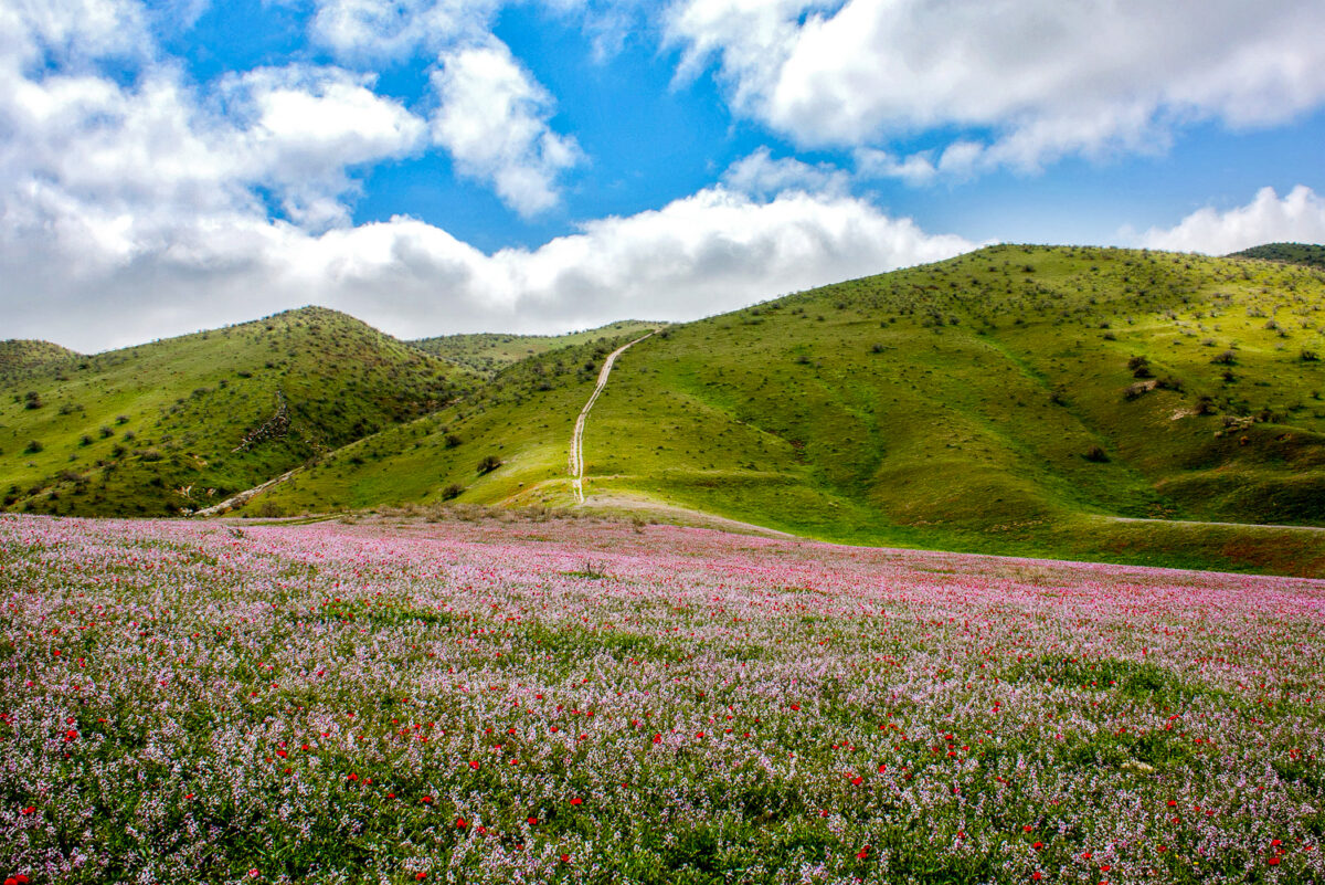 Khorasan Razavi Province; Tourism Hub in NE Iran 22 Khorasan Razavi Province (1)