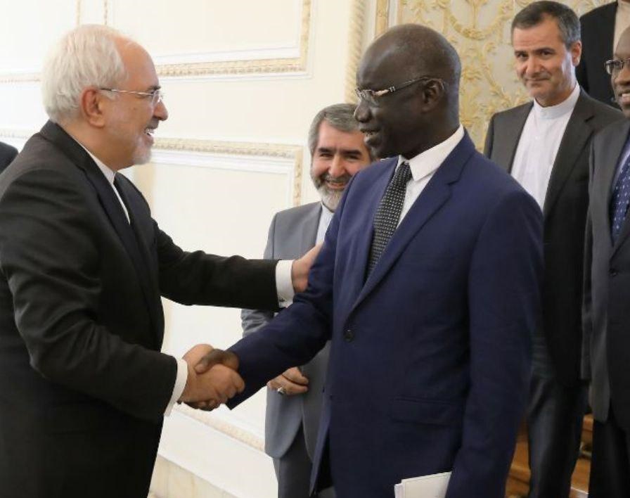 Iran Attaches Great Importance to Ties with Africa: FM