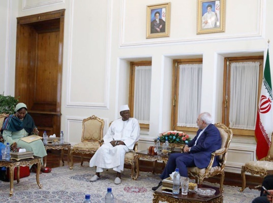 Iran Ready to Enhance Cooperation with Gambia