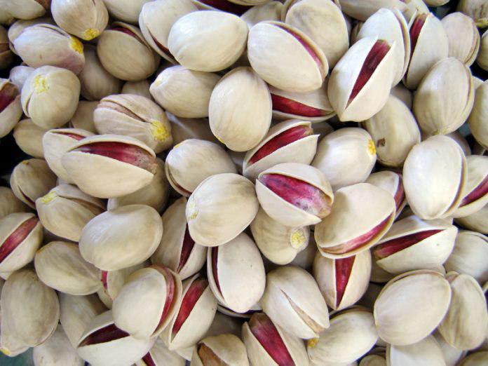 Iran to Surpass US to Become World’s Top Pistachio Producer Again