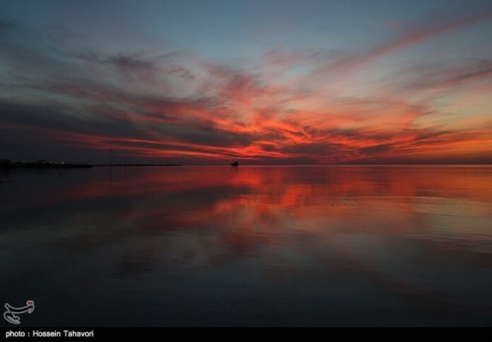 Kolbe Hoor-2 Kolbe Hoor-2