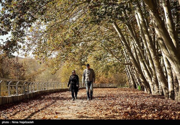 Iran’s Beauties in Photos: Autumn in Mashhad