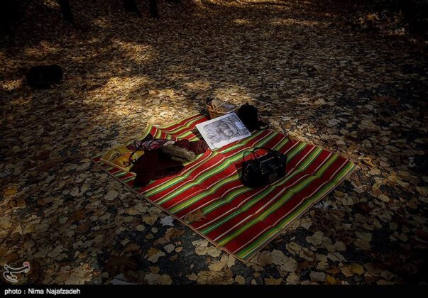 Iran’s Beauties in Photos: Autumn in Mashhad