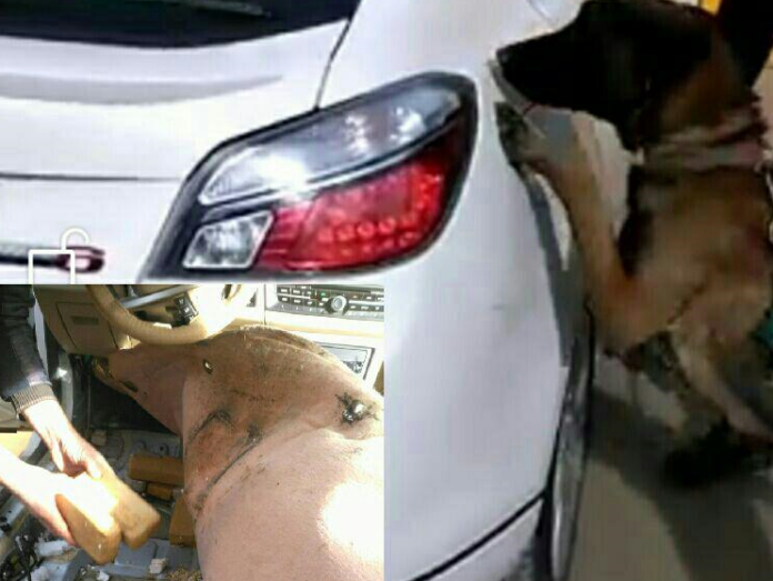 Huge Supply of Drugs Seized near Iran-Turkey Border