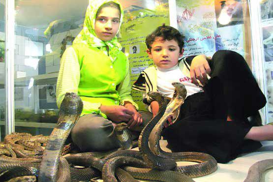 Iranian “Queen of Snakes” Breaks Record of Kissing Forked Tongues