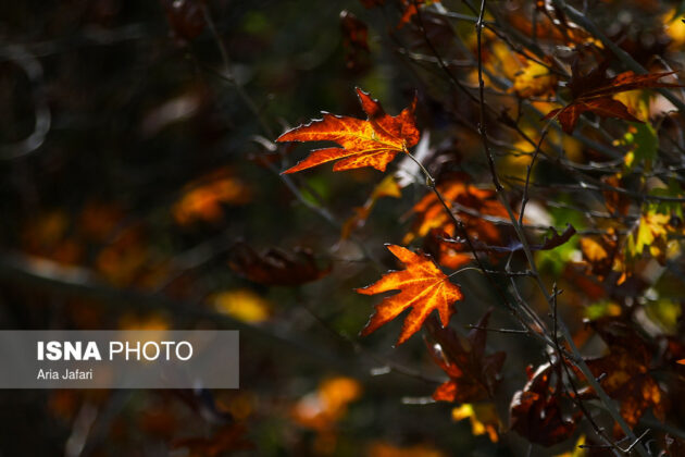 Iran in Photos: Natural Beauties in Autumn