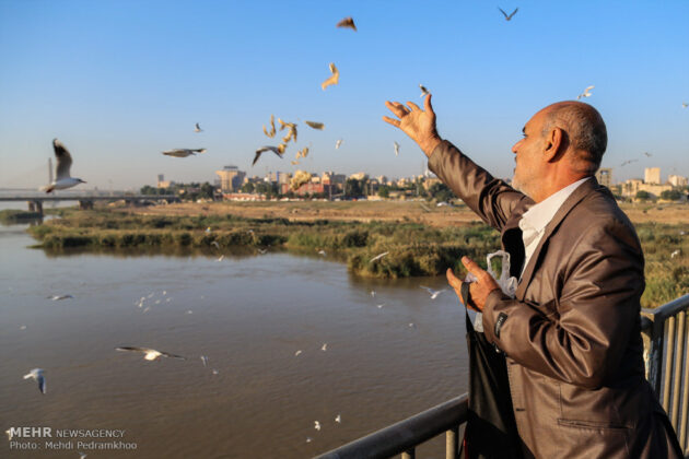 First Group of Migratory Birds Arrive in Iran’s Karun River