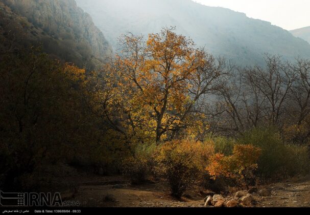 Beauties of Iran in Autumn
