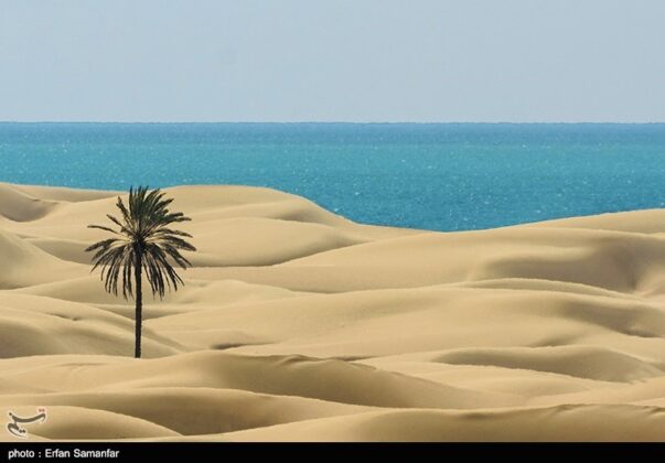 Iran’s Beauties in Photos: Darak Beach