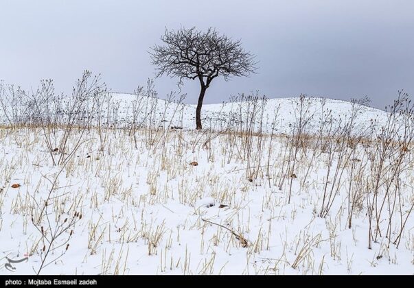 Snowfall Blankets Oroumiyeh in Northwestern Iran