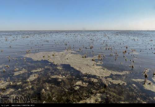 Water Released into Gomishan Wetland in Northern Iran