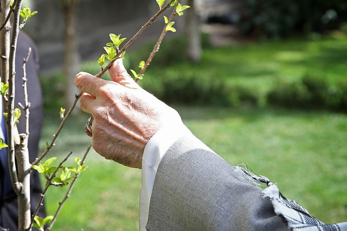 Iran’s Leader, President Plant Saplings on Arbour Day 3 Iran’s Leader, President Plant Saplings on Arbour Day