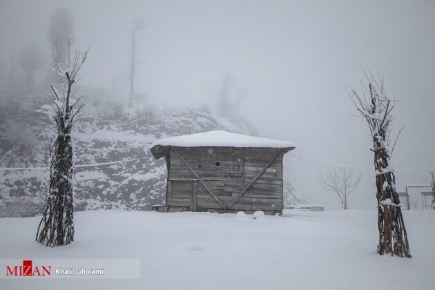 Iran’s Beauties in Photos: Talesh Cottages Covered by Snow