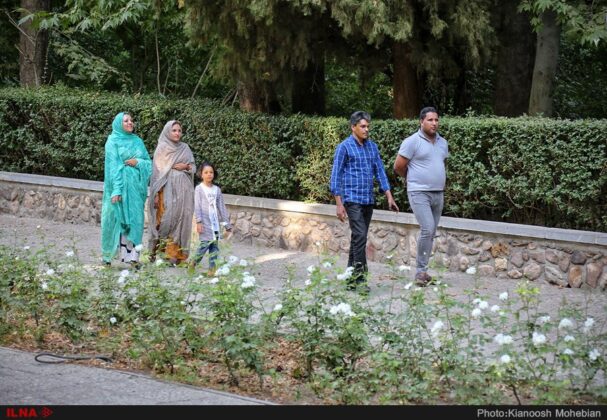 Iran’s Beauties in Photos: Shazdeh Mahan Garden