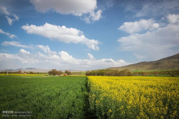 Iran’s Beauties in Photos: Farmlands of Tuyserkan