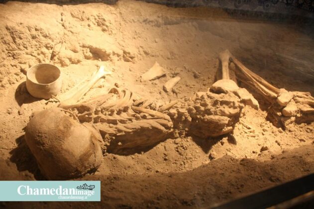 4,000-Year-Old Skeletons of Mother, Infant on Show in Iran