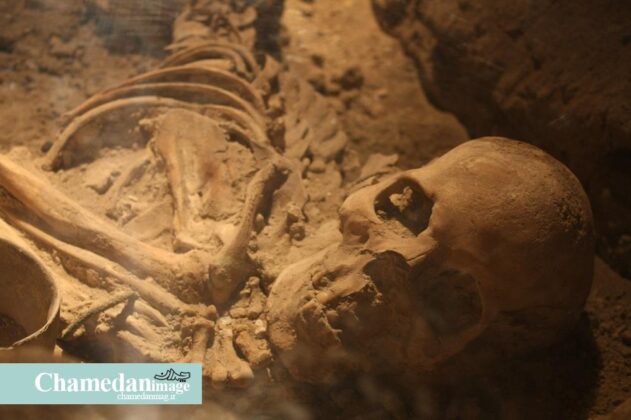 4,000-Year-Old Skeletons of Mother, Infant on Show in Iran