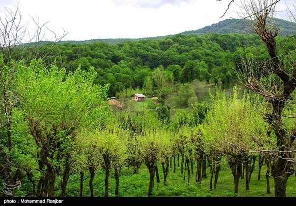 Iran’s Beauties in Photos: Kacha Village