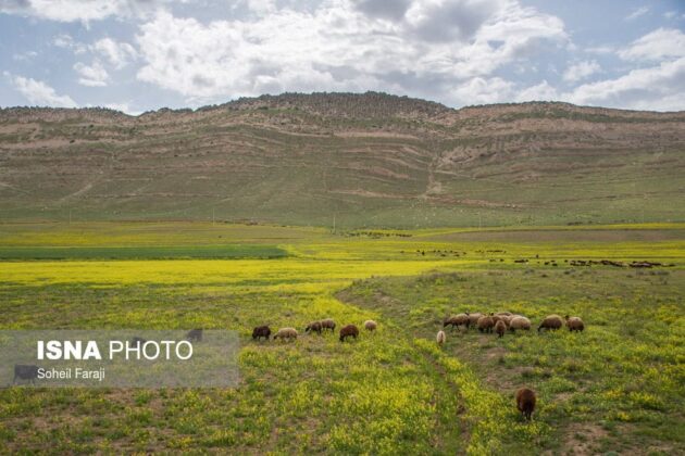 Iran’s Beauties in Photos: Colourful Nature of West Azarbaijan
