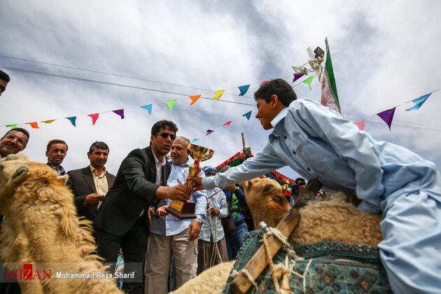 Iran Holds Camel Riding Tournament