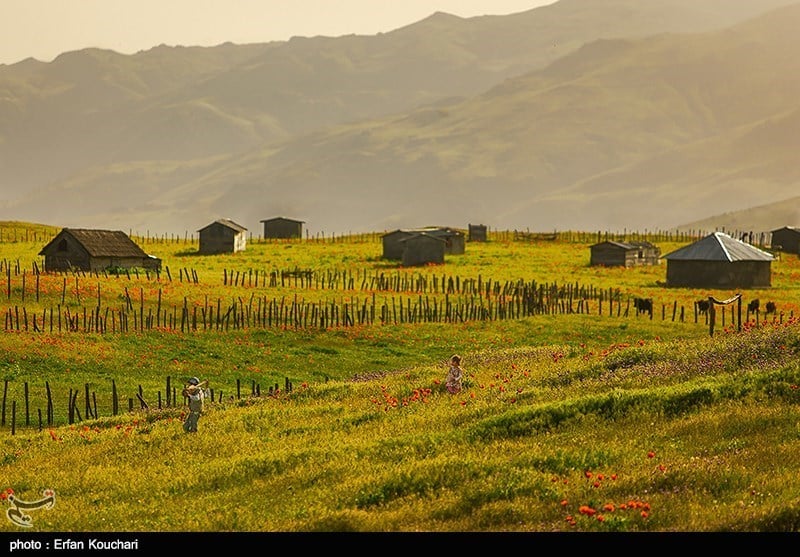 Iran’s Beauties in Photos: Shekardasht Summer Pastures