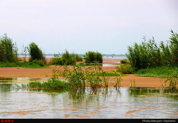 Iran’s Beauties in Photos: Anzali Lagoon