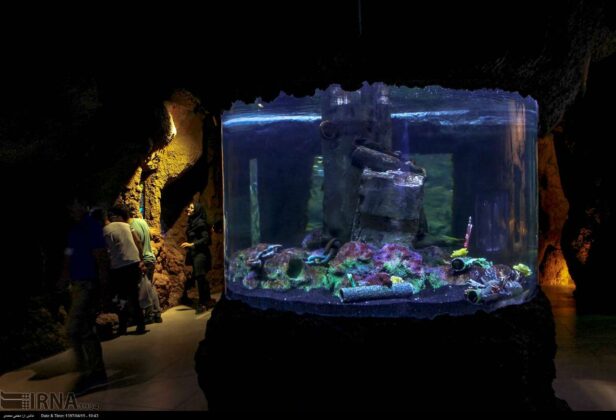 aquarium anzali 14