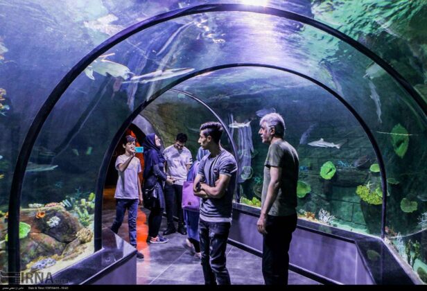 aquarium anzali 17