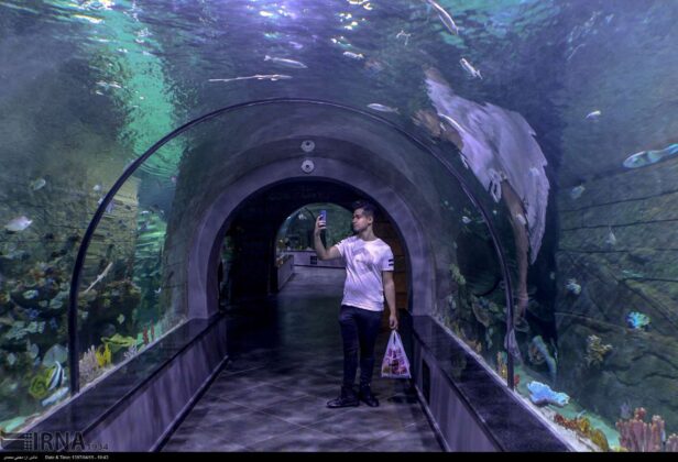 Iran’s Biggest Aquarium Tunnel Opens in Anzali Port