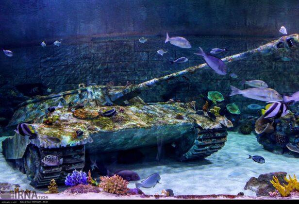 aquarium anzali 23