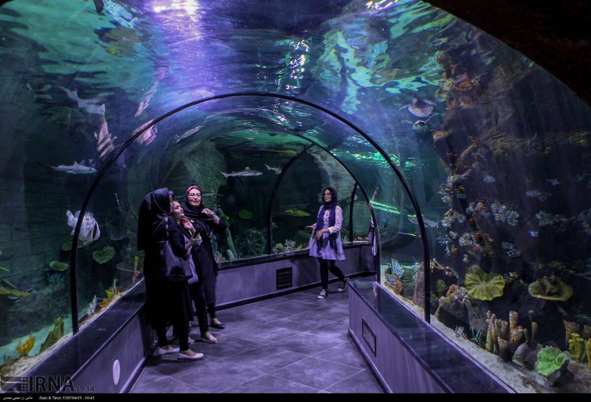 Iran’s Biggest Aquarium Tunnel Opens in Anzali Port 37 Iran’s Biggest Aquarium Tunnel Opens in Anzali Port