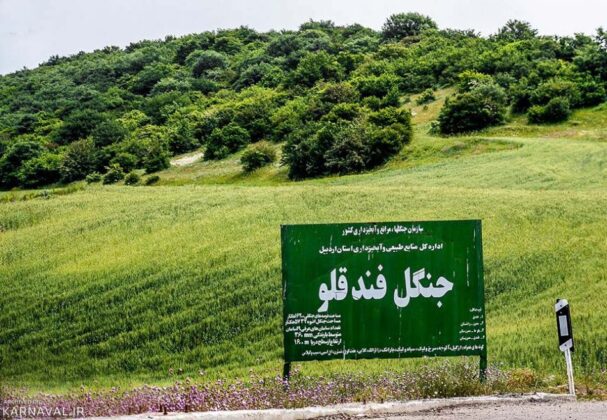 Fandoqloo Forest: Scenic Beauty in Northwestern Iran