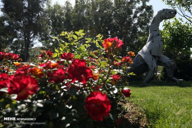 Park in Tehran Decorated with Statues Made of Disposable Materials