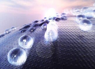 Iranian Scientists | IFP News