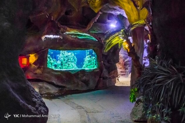 Ganjnameh Cave Aquarium; Marvelous Complex in Western Iran
